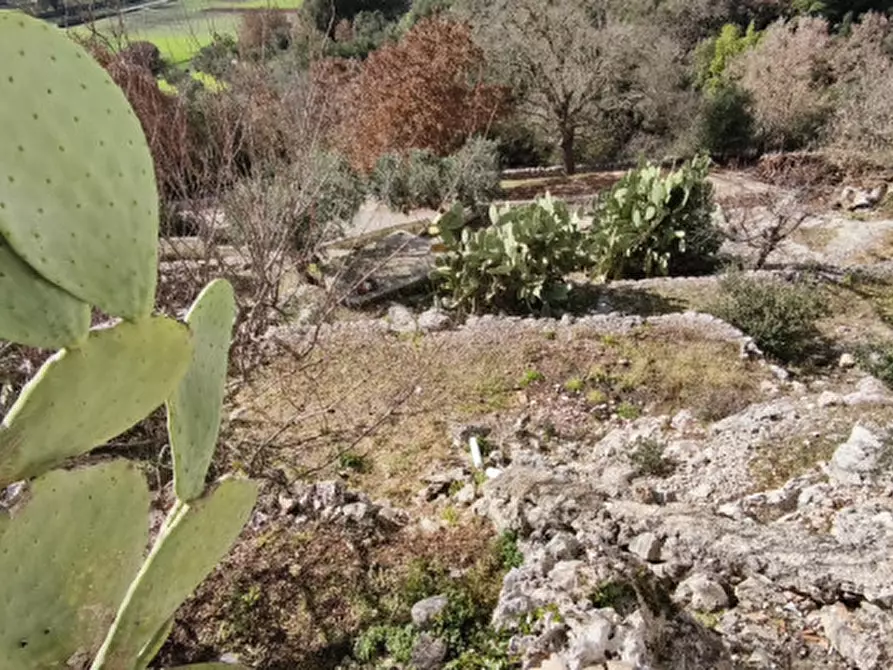 Immagine 13 di Rustico / casale in vendita  in Strosc a Fasano