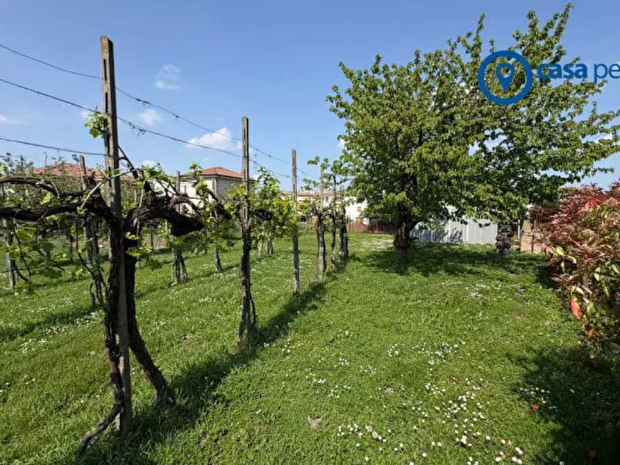 Immagine 34 di Villa in vendita  in Via Roma a Polesella