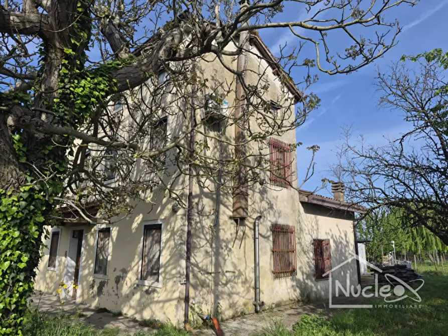 Immagine 3 di Casa bifamiliare in vendita  in Via Pozzetto a Rovolon