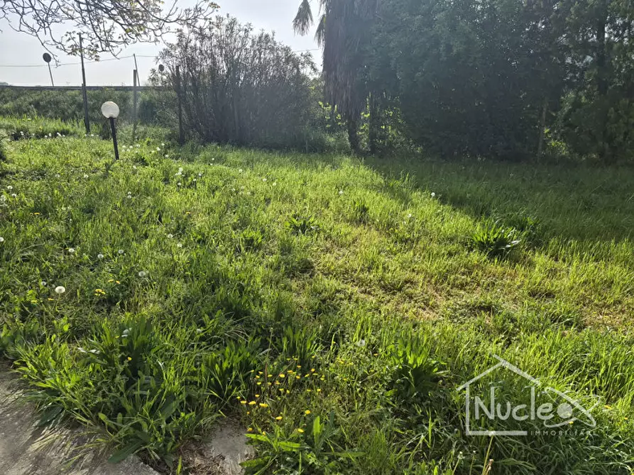 Immagine 5 di Casa bifamiliare in vendita  in Via Pozzetto a Rovolon