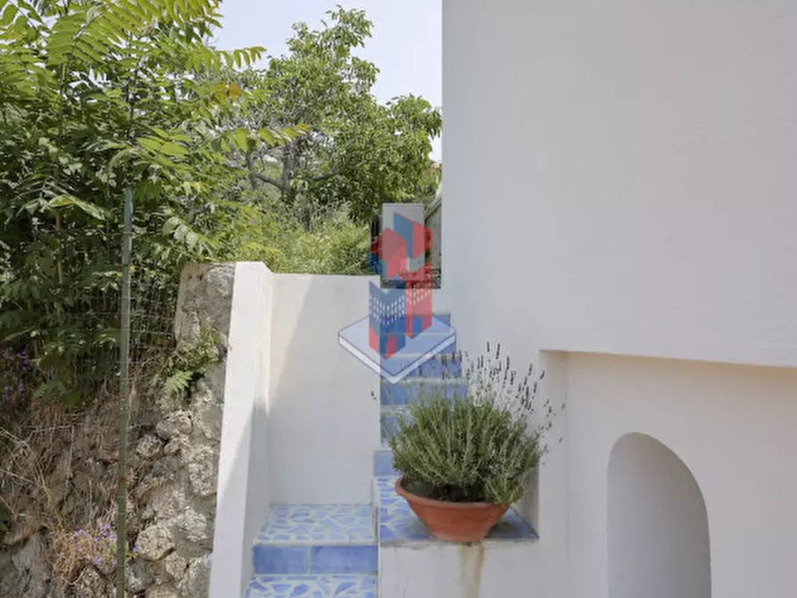Immagine 36 di Villa in vendita  in ISCHIA - SANT'ANGELO- PARTE ALTA a Serrara Fontana