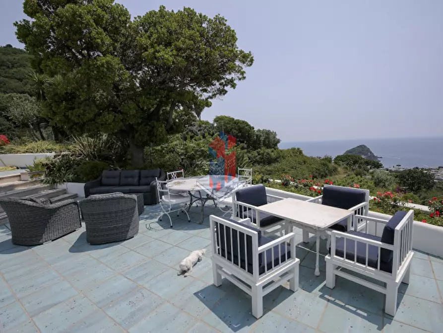 Immagine 39 di Villa in vendita  in ISCHIA - SANT'ANGELO- PARTE ALTA a Serrara Fontana