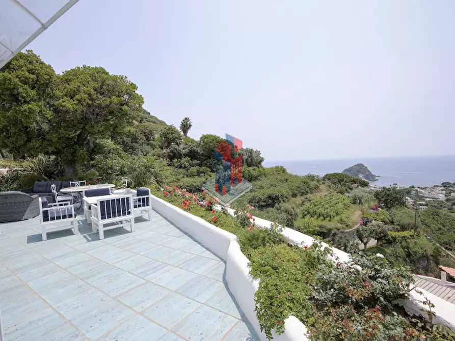 Immagine 41 di Villa in vendita  in ISCHIA - SANT'ANGELO- PARTE ALTA a Serrara Fontana