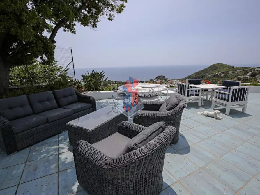 Immagine 43 di Villa in vendita  in ISCHIA - SANT'ANGELO- PARTE ALTA a Serrara Fontana