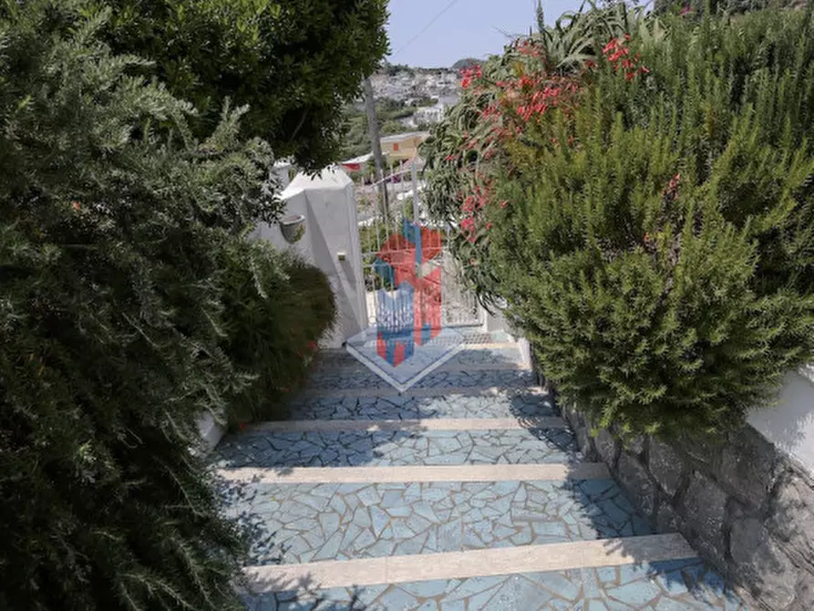Immagine 57 di Villa in vendita  in ISCHIA - SANT'ANGELO- PARTE ALTA a Serrara Fontana