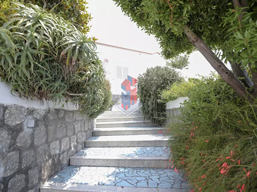 Immagine 58 di Villa in vendita  in ISCHIA - SANT'ANGELO- PARTE ALTA a Serrara Fontana