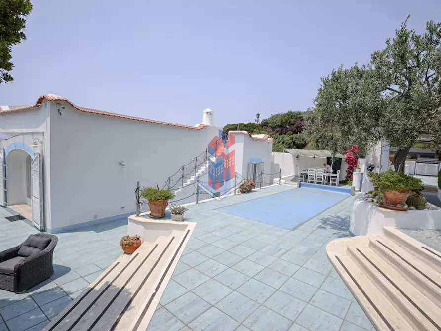 Immagine 69 di Villa in vendita  in ISCHIA - SANT'ANGELO- PARTE ALTA a Serrara Fontana