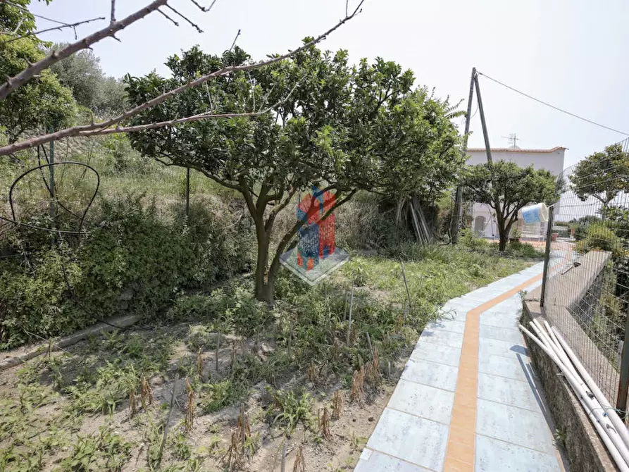 Immagine 79 di Villa in vendita  in ISCHIA - SANT'ANGELO- PARTE ALTA a Serrara Fontana
