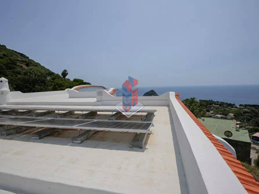 Immagine 91 di Villa in vendita  in ISCHIA - SANT'ANGELO- PARTE ALTA a Serrara Fontana