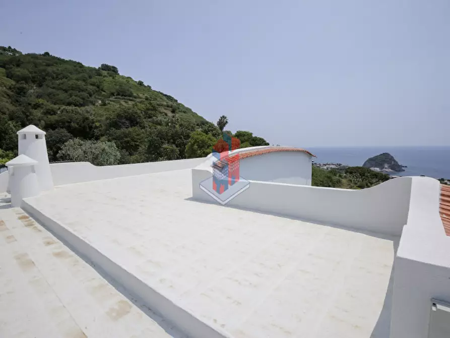 Immagine 97 di Villa in vendita  in ISCHIA - SANT'ANGELO- PARTE ALTA a Serrara Fontana