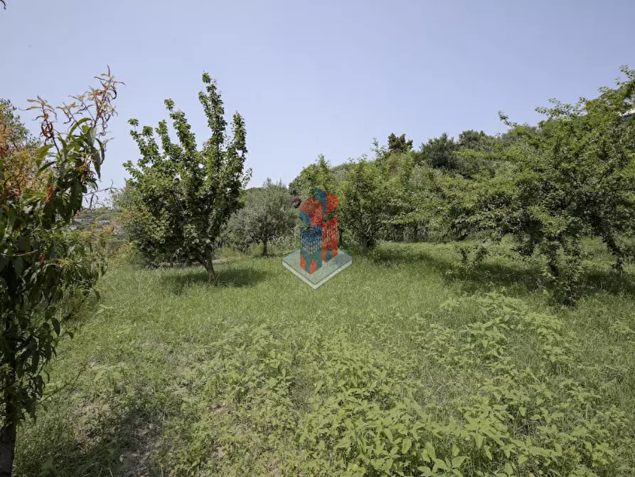 Immagine 101 di Villa in vendita  in ISCHIA - SANT'ANGELO- PARTE ALTA a Serrara Fontana