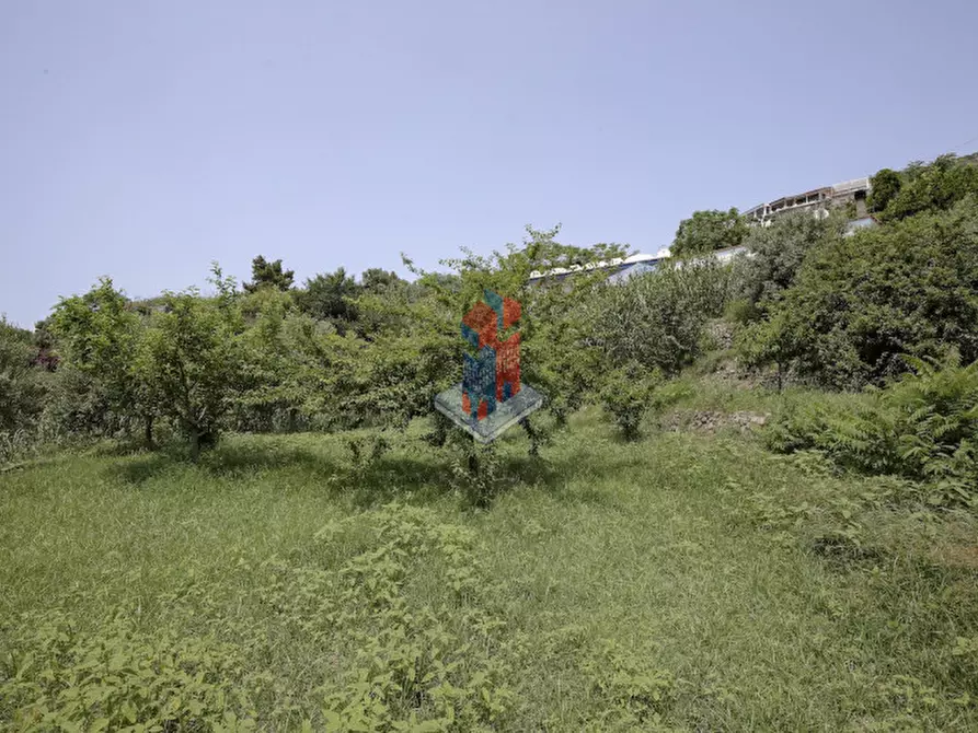 Immagine 102 di Villa in vendita  in ISCHIA - SANT'ANGELO- PARTE ALTA a Serrara Fontana