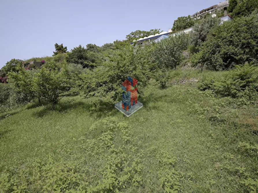 Immagine 103 di Villa in vendita  in ISCHIA - SANT'ANGELO- PARTE ALTA a Serrara Fontana