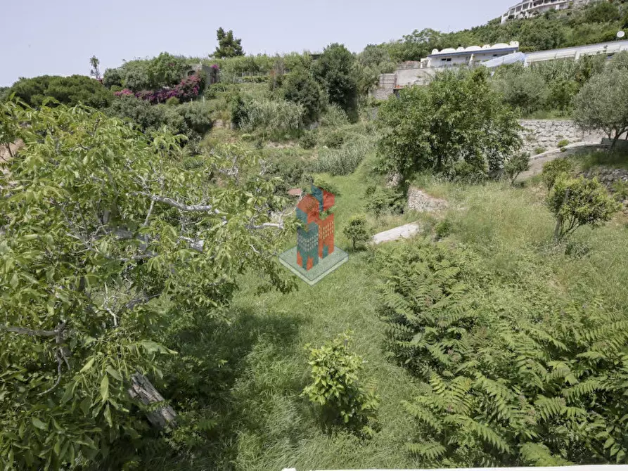 Immagine 104 di Villa in vendita  in ISCHIA - SANT'ANGELO- PARTE ALTA a Serrara Fontana