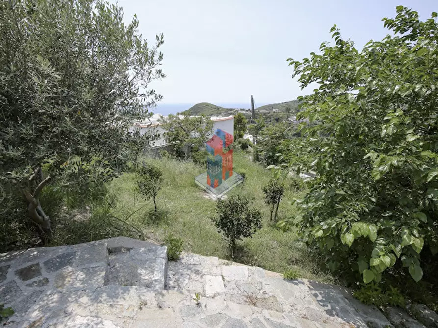 Immagine 105 di Villa in vendita  in ISCHIA - SANT'ANGELO- PARTE ALTA a Serrara Fontana