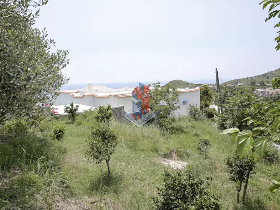 Immagine 106 di Villa in vendita  in ISCHIA - SANT'ANGELO- PARTE ALTA a Serrara Fontana