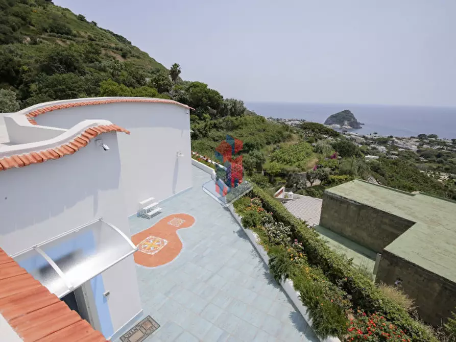 Immagine 109 di Villa in vendita  in ISCHIA - SANT'ANGELO- PARTE ALTA a Serrara Fontana
