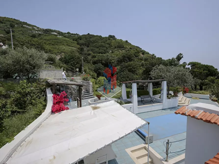 Immagine 114 di Villa in vendita  in ISCHIA - SANT'ANGELO- PARTE ALTA a Serrara Fontana