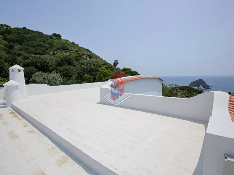 Immagine 119 di Villa in vendita  in ISCHIA - SANT'ANGELO- PARTE ALTA a Serrara Fontana