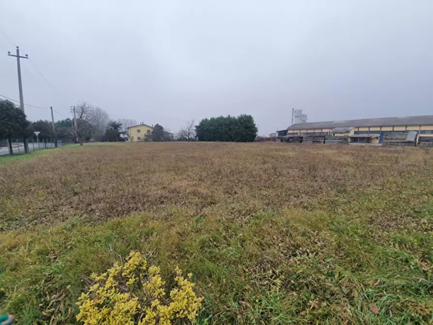 Immagine 2 di Terreno in vendita  in Via Aurelio Gobetti a San Pietro Di Morubio