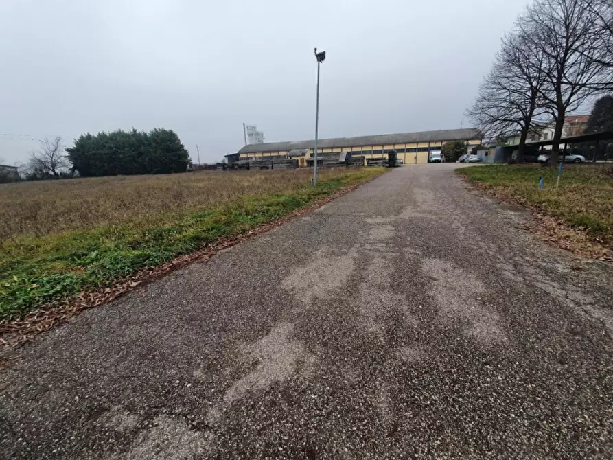 Immagine 4 di Terreno in vendita  in Via Aurelio Gobetti a San Pietro Di Morubio