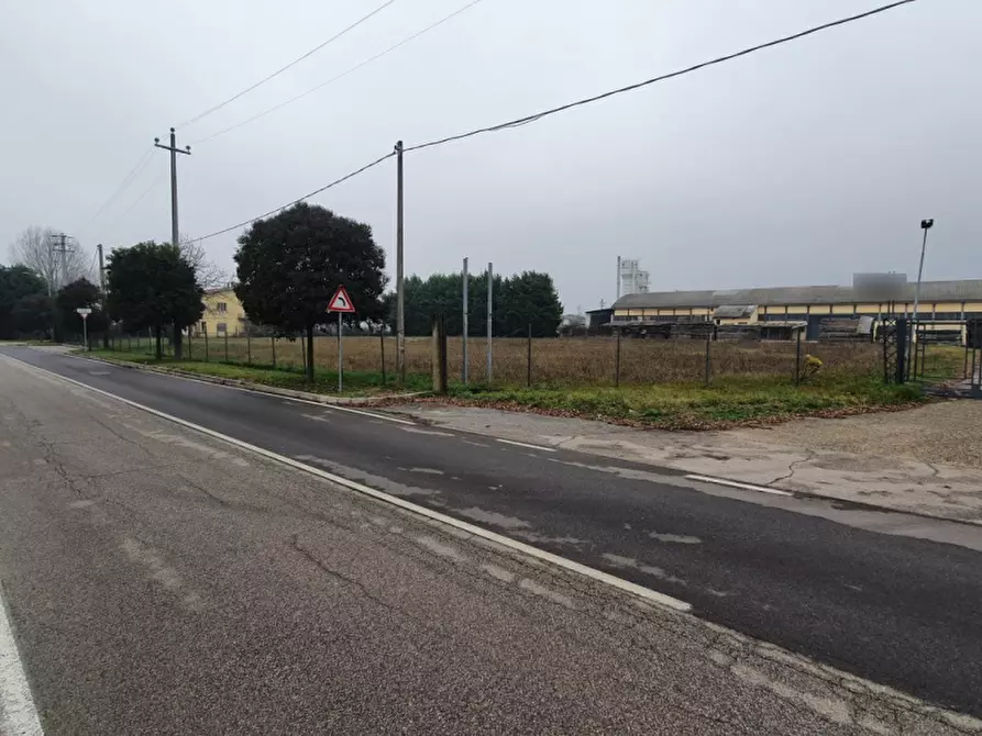 Immagine 5 di Terreno in vendita  in Via Aurelio Gobetti a San Pietro Di Morubio