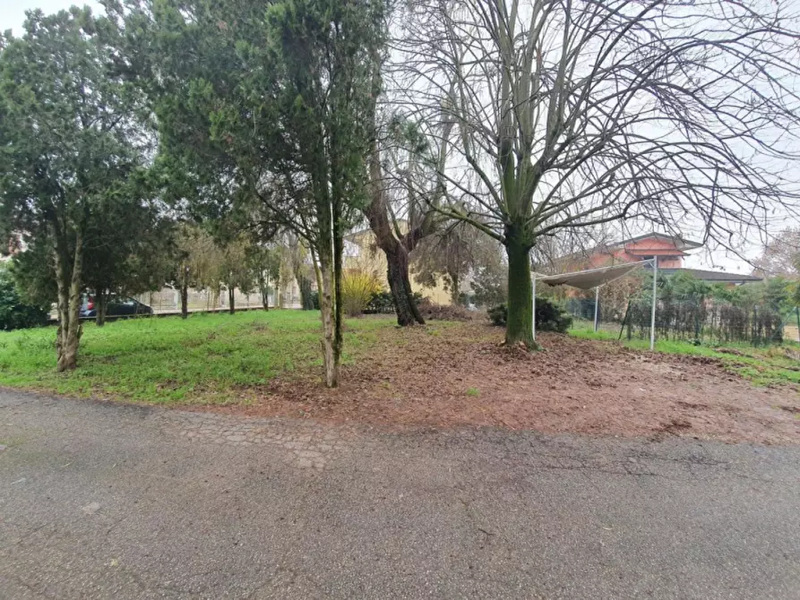 Immagine 1 di Terreno in vendita  in Via Alcide de Gasperi a San Pietro Di Morubio