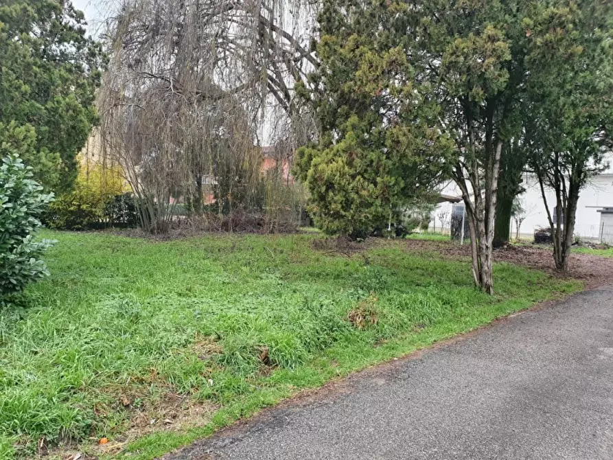 Immagine 3 di Terreno in vendita  in Via Alcide de Gasperi a San Pietro Di Morubio