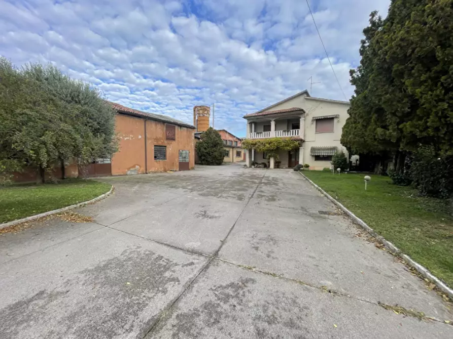 Immagine 2 di Capannone industriale in vendita  in Via Palazzina a San Pietro Di Morubio