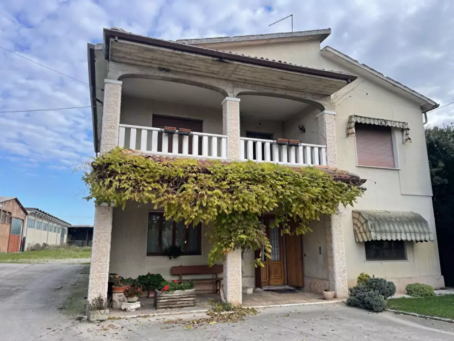 Immagine 3 di Capannone industriale in vendita  in Via Palazzina a San Pietro Di Morubio