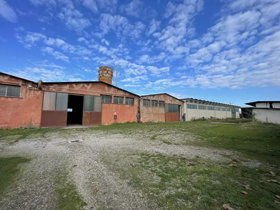 Immagine 4 di Capannone industriale in vendita  in Via Palazzina a San Pietro Di Morubio