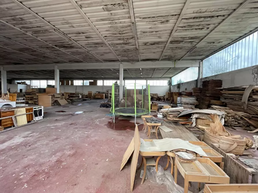 Immagine 5 di Capannone industriale in vendita  in Via Palazzina a San Pietro Di Morubio