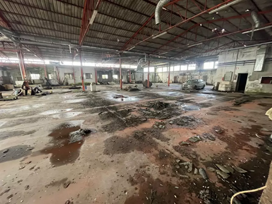 Immagine 6 di Capannone industriale in vendita  in Via Palazzina a San Pietro Di Morubio