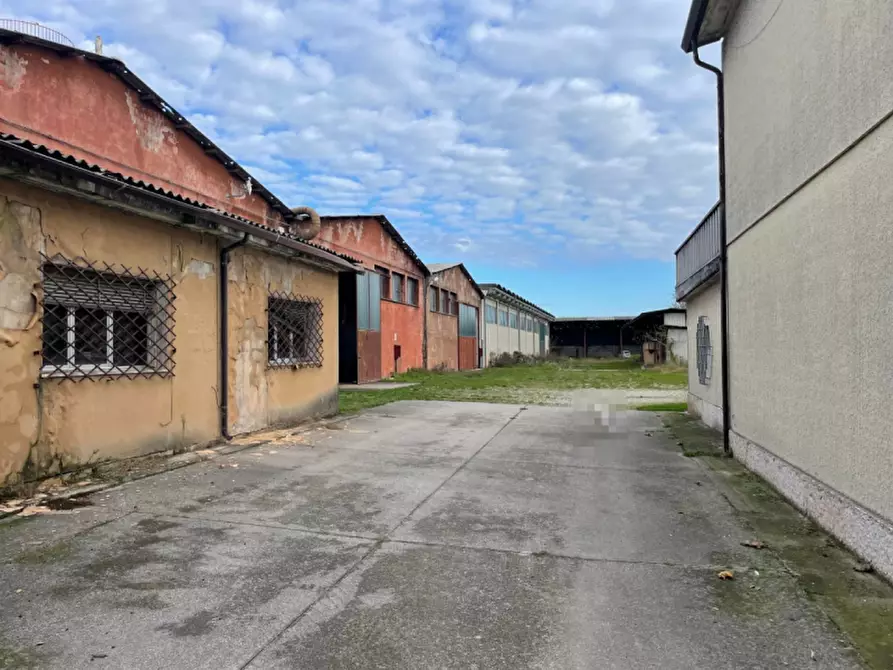 Immagine 7 di Capannone industriale in vendita  in Via Palazzina a San Pietro Di Morubio