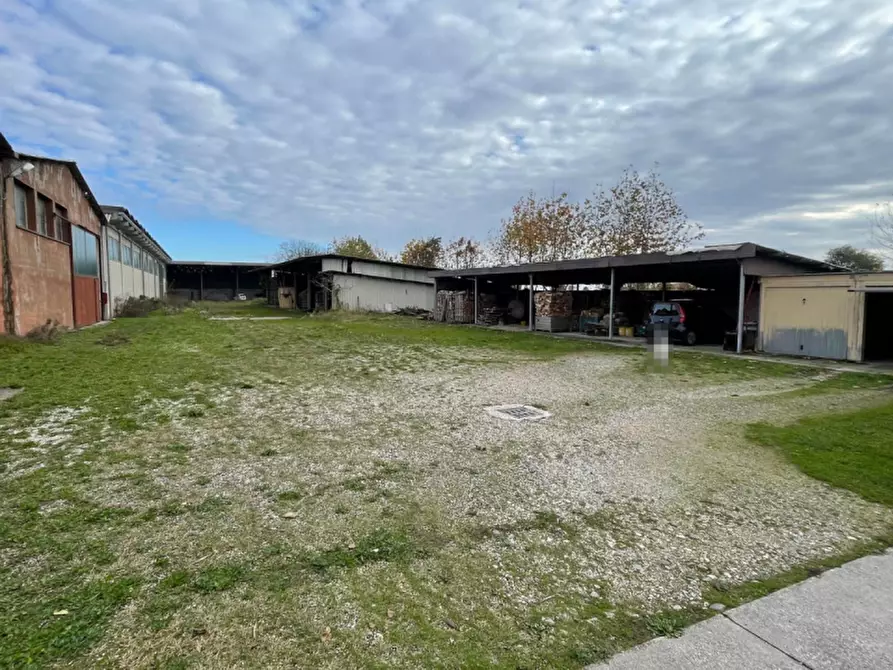 Immagine 8 di Capannone industriale in vendita  in Via Palazzina a San Pietro Di Morubio