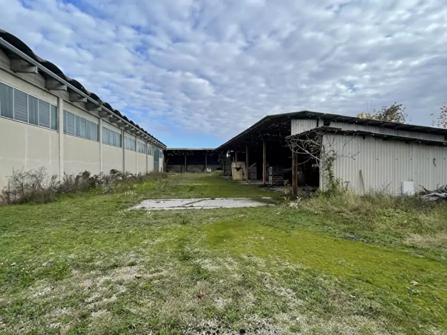 Immagine 9 di Capannone industriale in vendita  in Via Palazzina a San Pietro Di Morubio