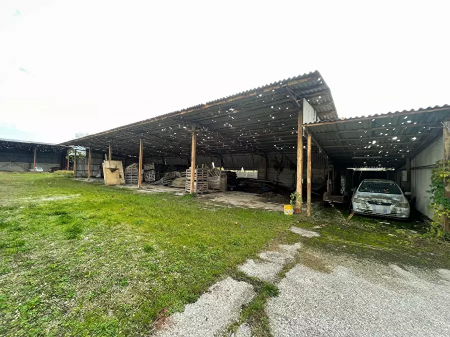 Immagine 10 di Capannone industriale in vendita  in Via Palazzina a San Pietro Di Morubio