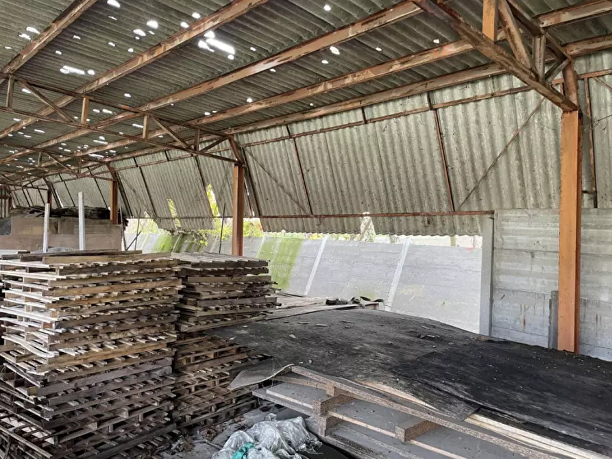 Immagine 11 di Capannone industriale in vendita  in Via Palazzina a San Pietro Di Morubio