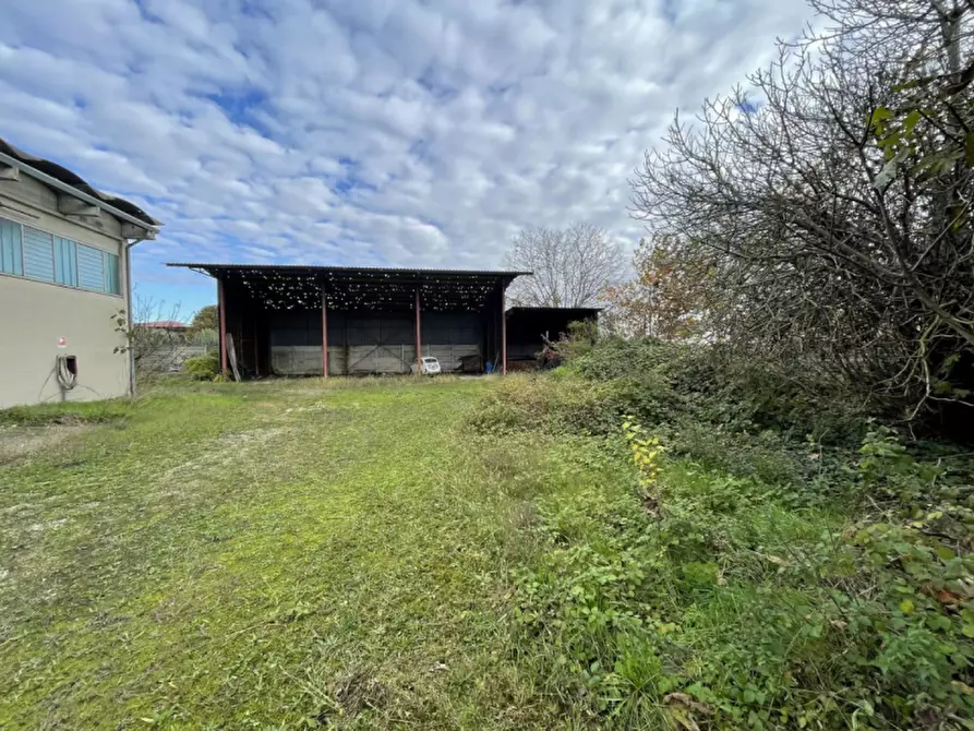Immagine 13 di Capannone industriale in vendita  in Via Palazzina a San Pietro Di Morubio