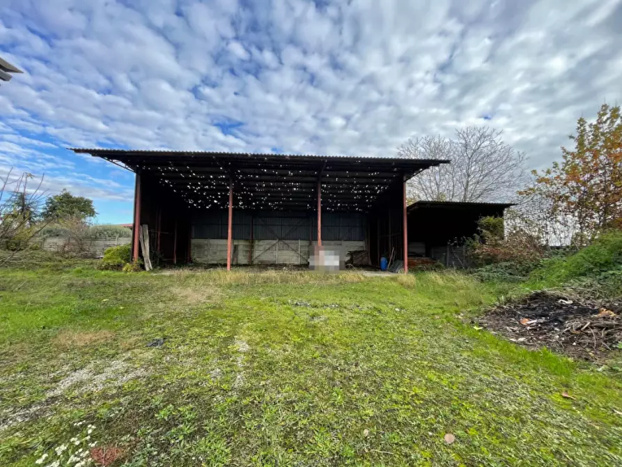 Immagine 14 di Capannone industriale in vendita  in Via Palazzina a San Pietro Di Morubio