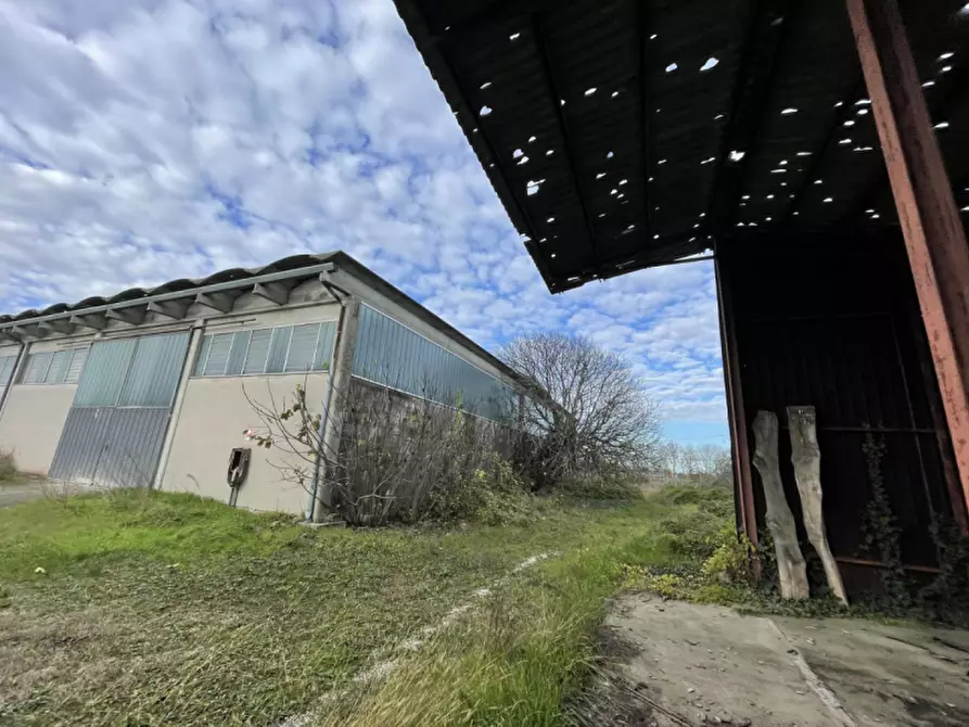 Immagine 15 di Capannone industriale in vendita  in Via Palazzina a San Pietro Di Morubio