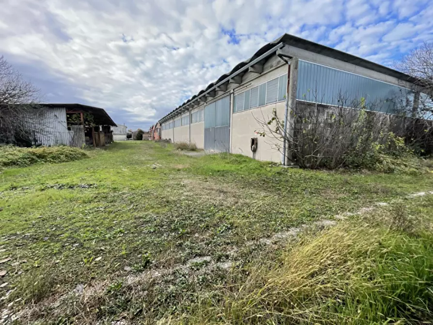 Immagine 16 di Capannone industriale in vendita  in Via Palazzina a San Pietro Di Morubio