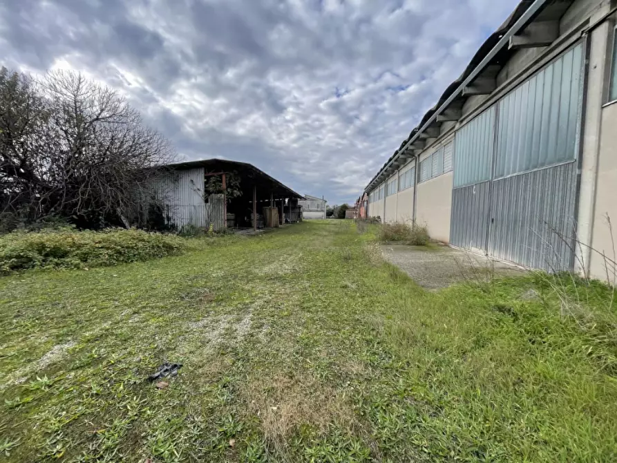 Immagine 17 di Capannone industriale in vendita  in Via Palazzina a San Pietro Di Morubio