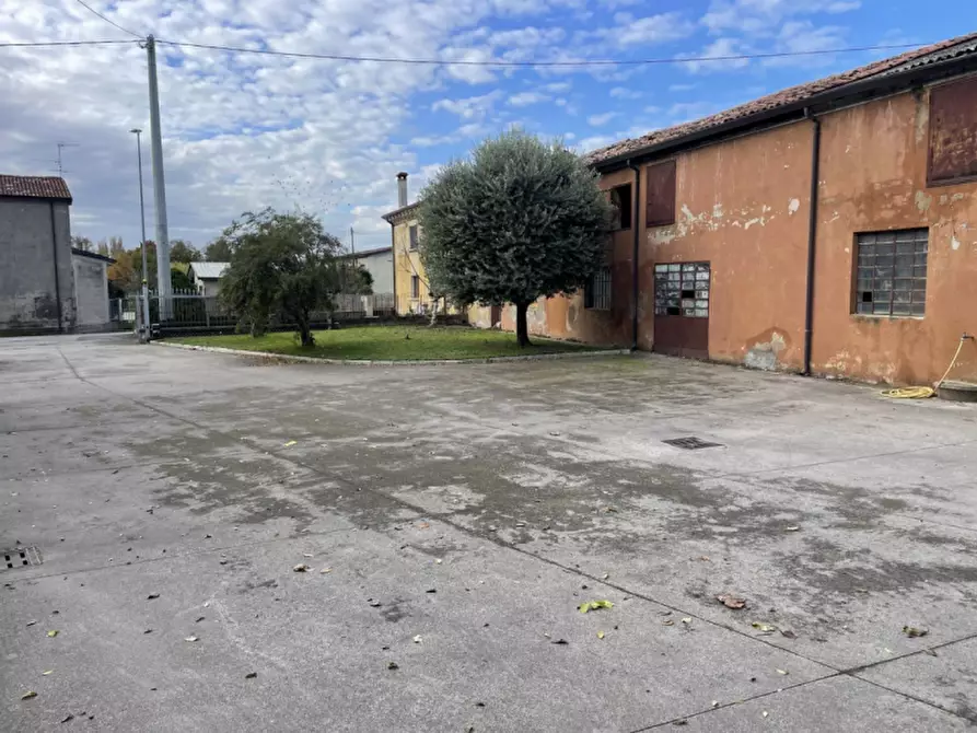 Immagine 18 di Capannone industriale in vendita  in Via Palazzina a San Pietro Di Morubio