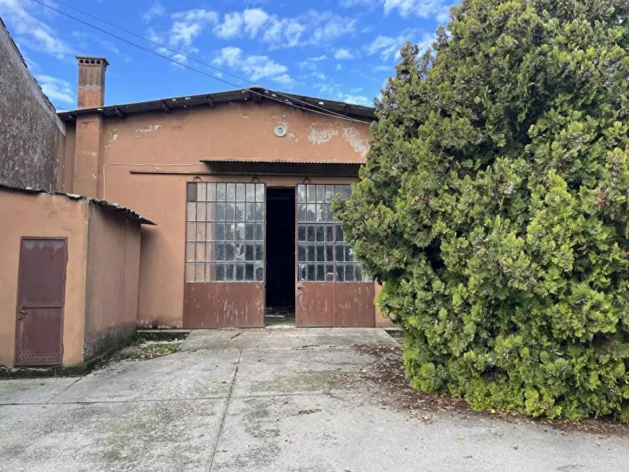 Immagine 19 di Capannone industriale in vendita  in Via Palazzina a San Pietro Di Morubio