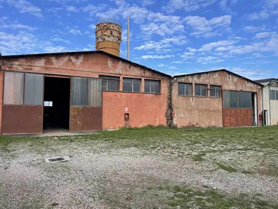 Immagine 20 di Capannone industriale in vendita  in Via Palazzina a San Pietro Di Morubio