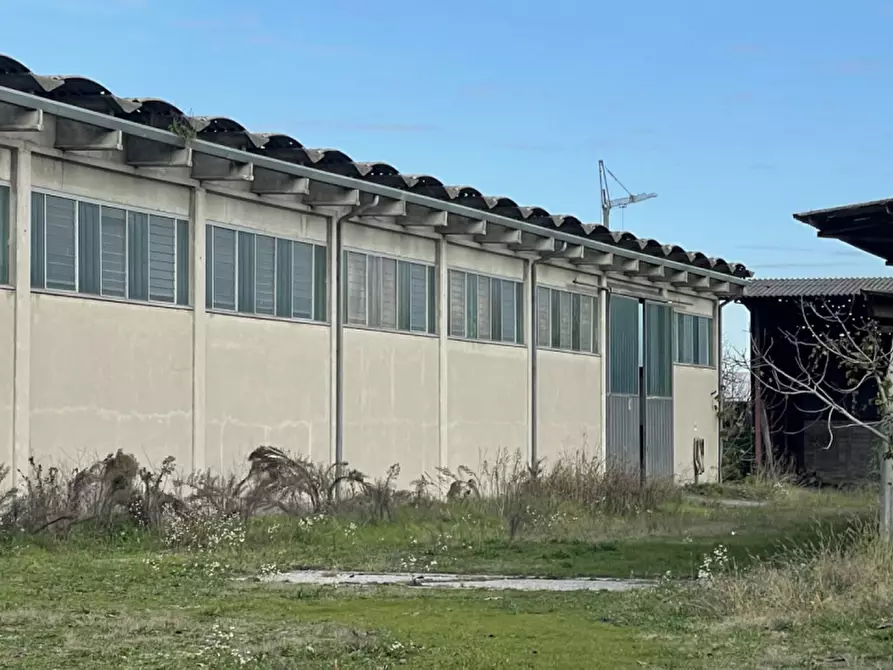 Immagine 21 di Capannone industriale in vendita  in Via Palazzina a San Pietro Di Morubio