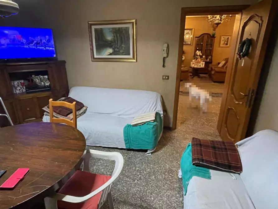 Immagine 23 di Capannone industriale in vendita  in Via Palazzina a San Pietro Di Morubio