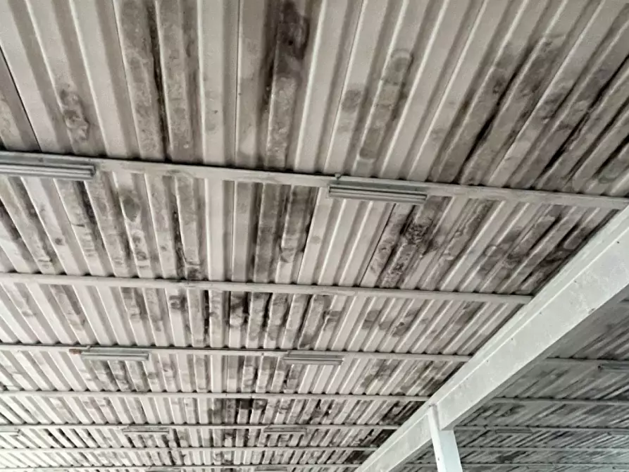 Immagine 37 di Capannone industriale in vendita  in Via Palazzina a San Pietro Di Morubio