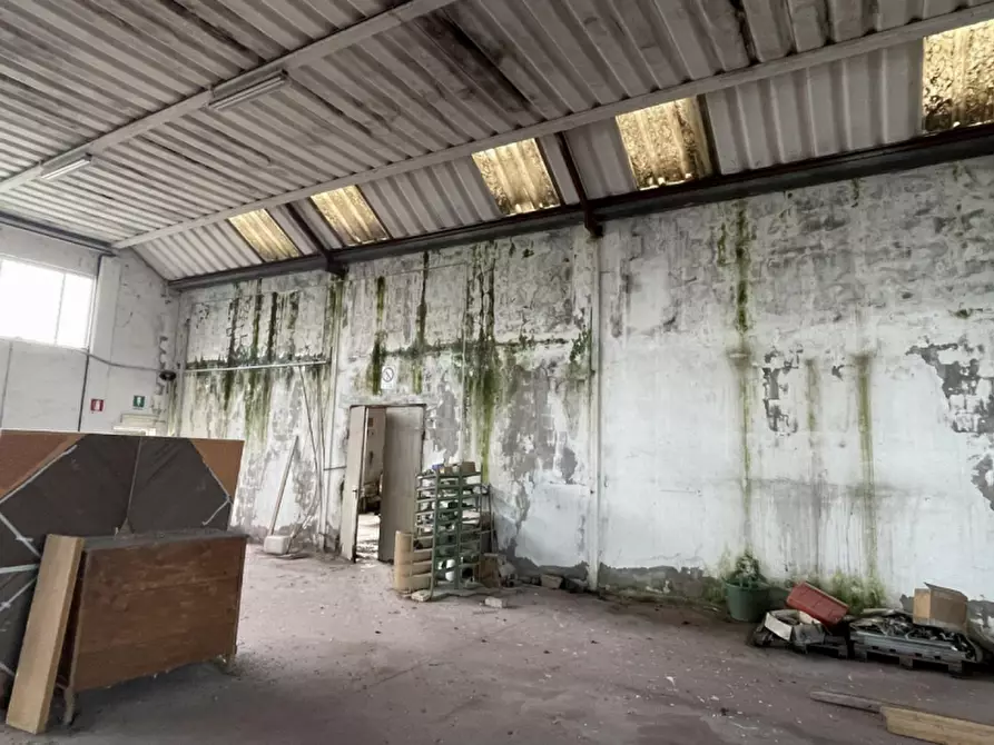 Immagine 39 di Capannone industriale in vendita  in Via Palazzina a San Pietro Di Morubio